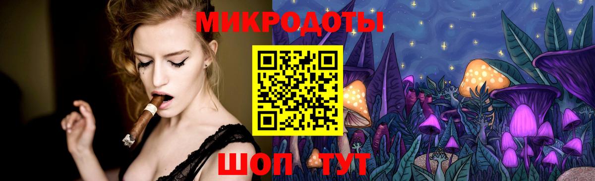 Галлюциногенные грибы Psilocybine cubensis Обь